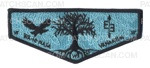 Patch Scan of Wa-Hi-Nasa E3 flap