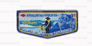 Patch Scan of Chickasaw Council Delegate Flap