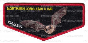 Patch Scan of TSALI 2027 Flap (N Long-Eared Bat)