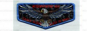 Patch Scan of Eagle Scout Flap (PO 102833)