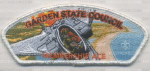 Patch Scan of trex/plane csp metallic border