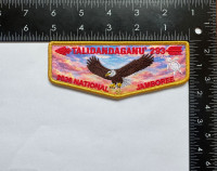 CAC (TN) 26 Jambo OA Flap Turtle Cherokee Area Council #556