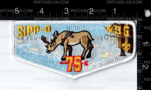 Patch Scan of 164090