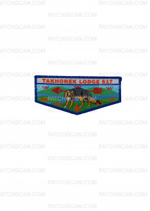 Patch Scan of Takhonek 2025 Flap