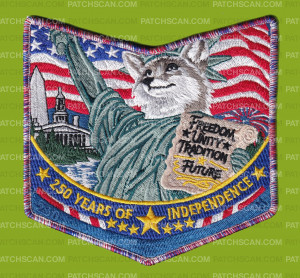 Patch Scan of Pellissippi 230 250 pocket patch