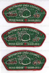 Patch Scan of 193243 - 4 beads