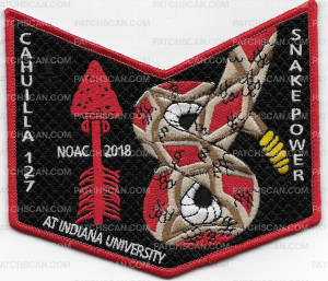 Patch Scan of Cahuilla 127 Snake Power- pocket patch