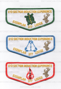 Patch Scan of 194367 - turtle