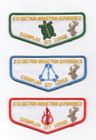 194367 - turtle Buckeye Council #436