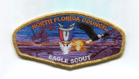NFC NESA PATCH North Florida Council