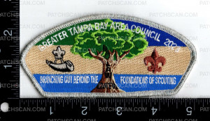 Patch Scan of 167597