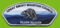 GSMC Silver Beaver 2023 silver metallic border Colonial Virginia Council #595