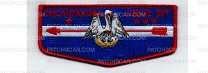Patch Scan of Elangomat Flap (PO 102772)