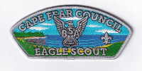 Cape Fear Eagle Scout Cape Fear Council #425
