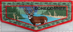 Patch Scan of 489950 Echeconnee