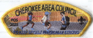 Patch Scan of 475617- Cherokee Area Council FOS 2025