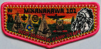 Mikanakawa 101 Summer Camp Staff 2025 Circle Ten Council #571