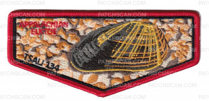 Patch Scan of TSALI 2027 Flap (Appalachian Elktoe)